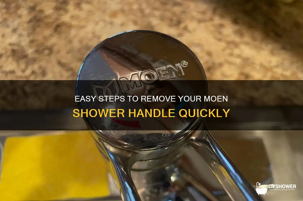 how to take moen shower handle off