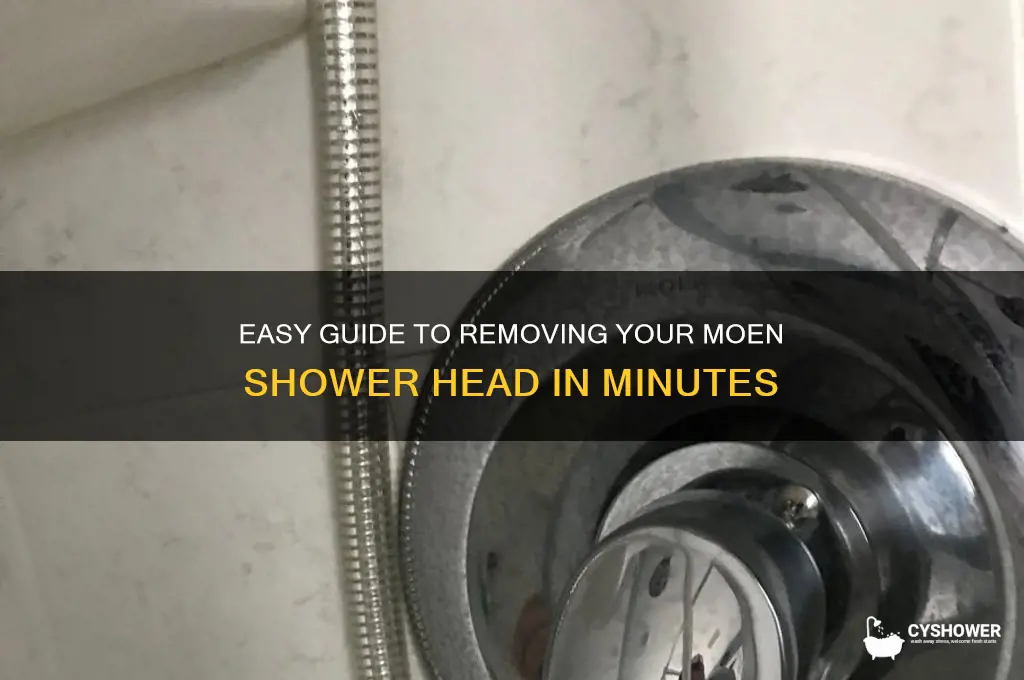 how to take moen shower head off