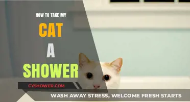 Purr-fectly Clean: A Step-by-Step Guide to Showering Your Cat