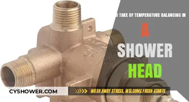 Mastering Shower Comfort: Tips for Perfect Temperature Balancing in Shower Heads