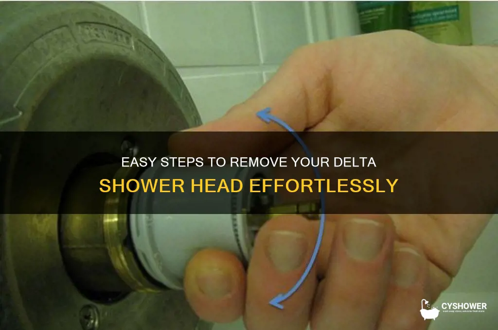 how to take off a delta shower head