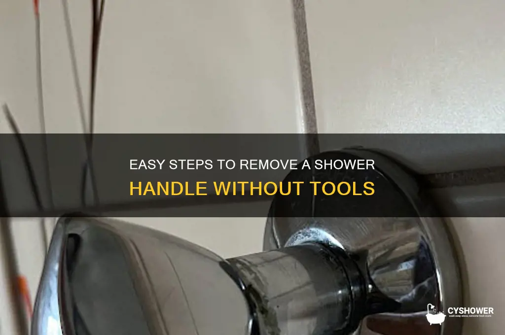 how to take off a shower handle