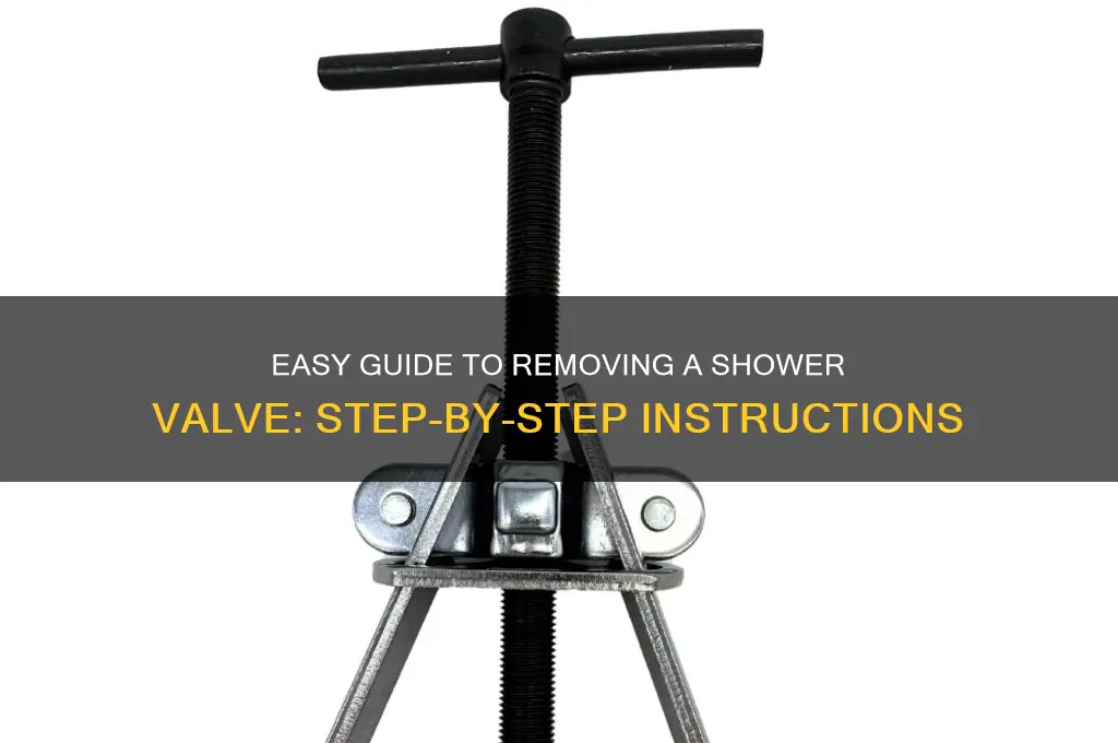 how to take off a shower valve
