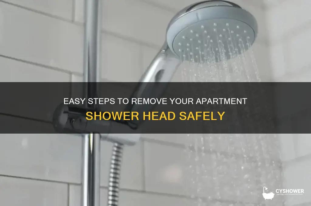 how to take off apartment shower head