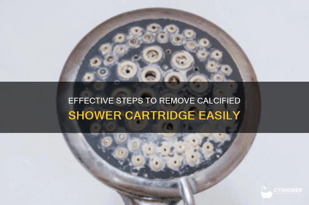 how to take off calcified shower cartridge