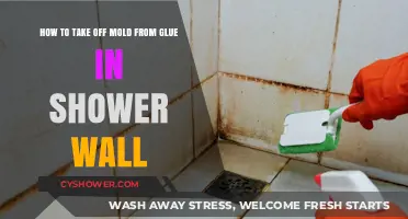 Effective Ways to Remove Mold from Shower Wall Glue
