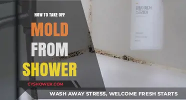 Effective Ways to Remove Mold from Your Shower Quickly and Safely