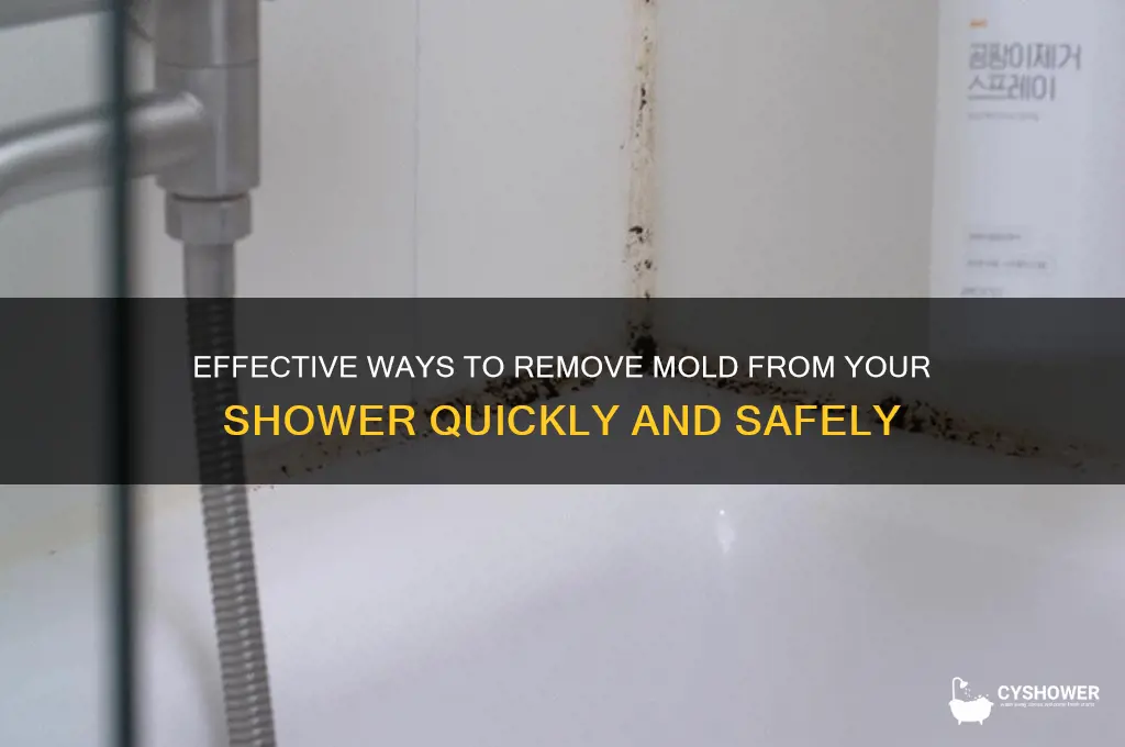 how to take off mold from shower