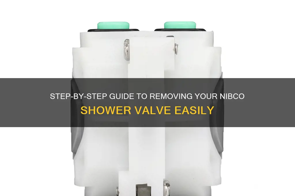how to take off nibco shower valve