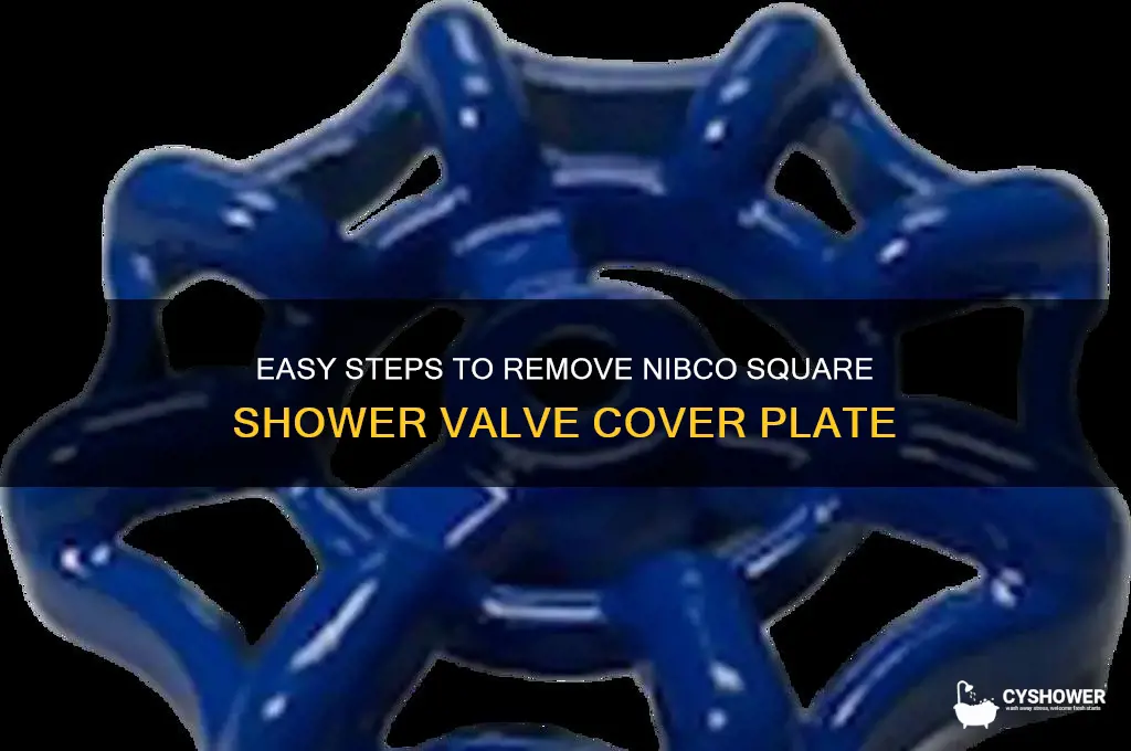 how to take off nibco square shower valve cover plate