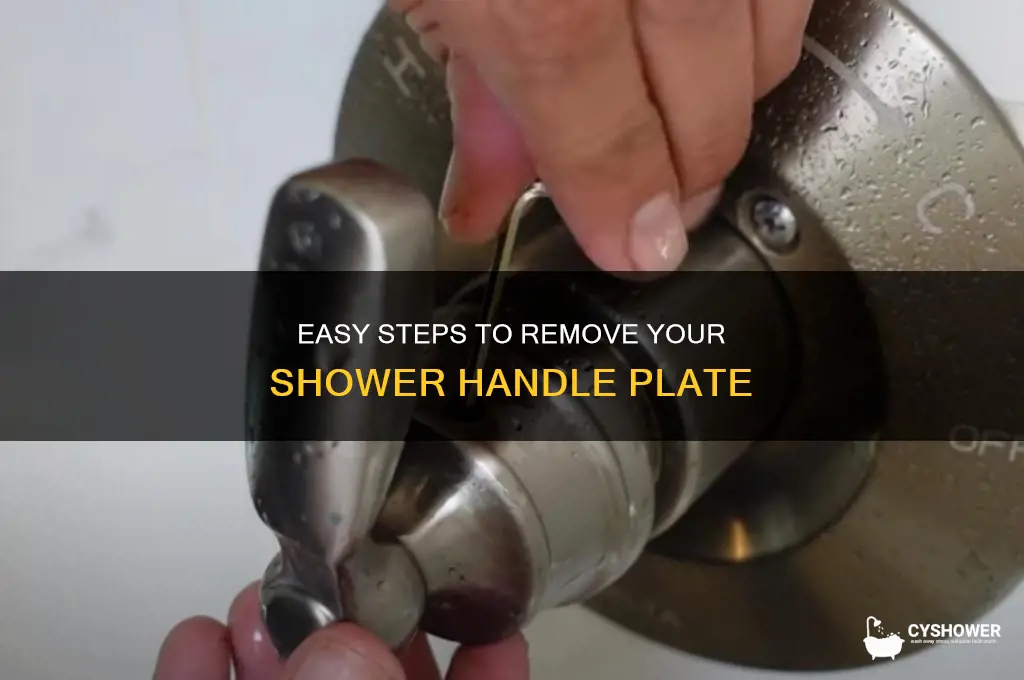 how to take off plate on shower handle