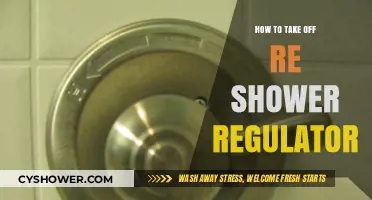 Easy Steps to Remove and Replace Your Re-Shower Regulator