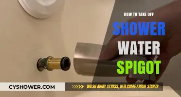 Easy Steps to Remove Your Shower Water Spigot Like a Pro