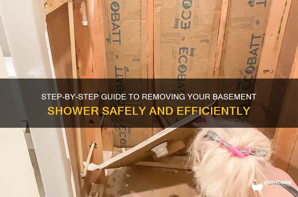 how to take out basement shower