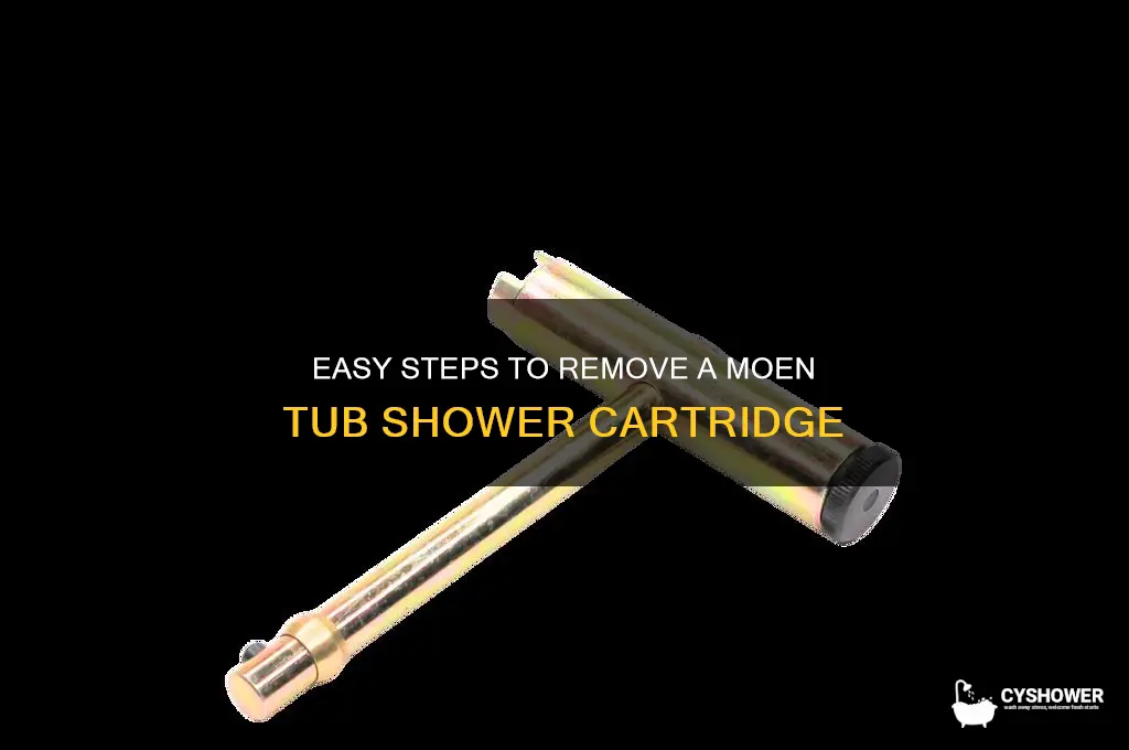 how to take out carrtage for a mowen tub shower
