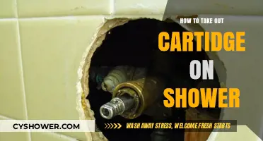 Easy Steps to Remove Your Shower Cartridge Like a Pro
