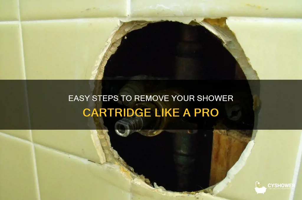 how to take out cartidge on shower