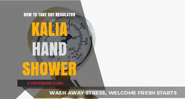 Easy Steps to Remove Regulator Kalia Hand Shower for Maintenance