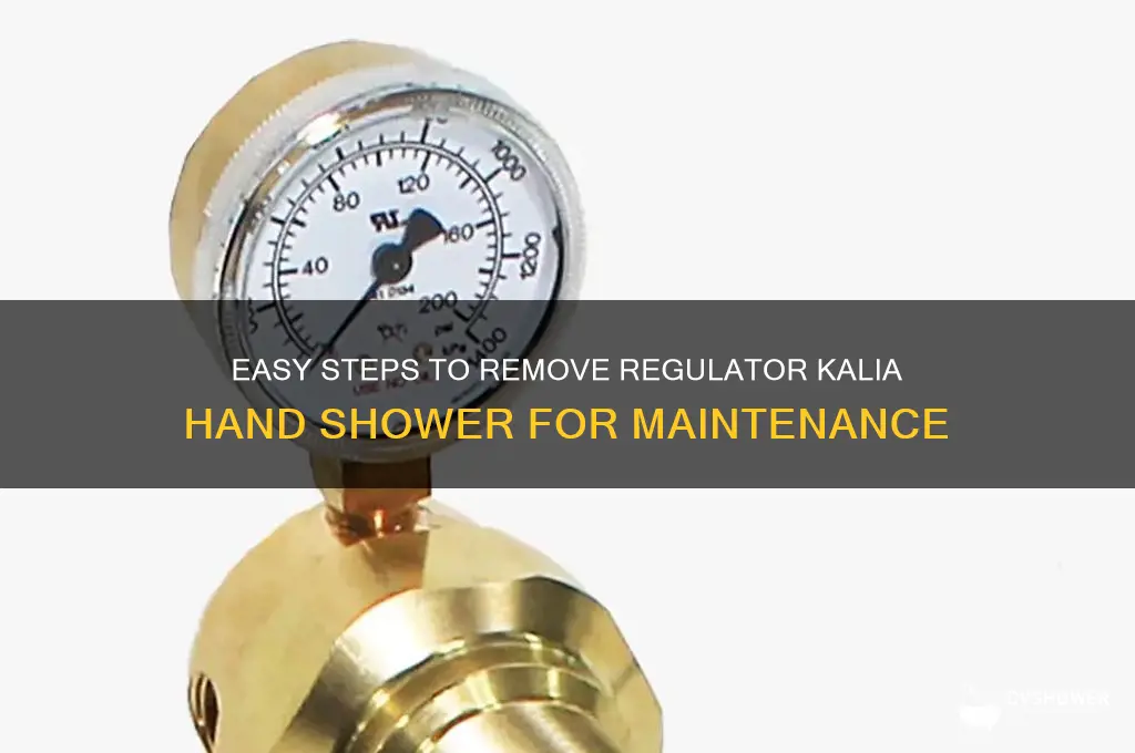 how to take out regulator kalia hand shower