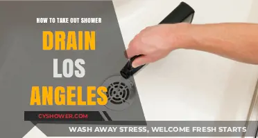 Easy Steps to Remove a Shower Drain in Los Angeles