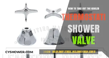 Step-by-Step Guide to Removing Your Kohler Thermostatic Shower Valve