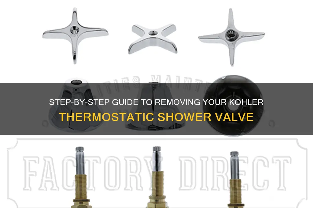 how to take out the kohler thermostatic shower valve