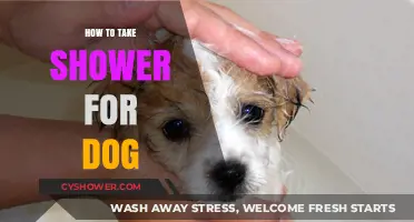 Easy Dog Bathing Tips: A Step-by-Step Shower Guide for Owners
