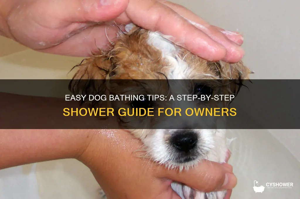 how to take shower for dog