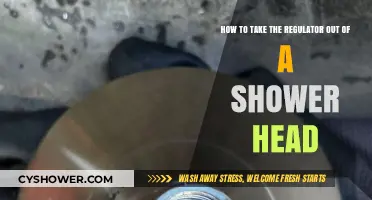 Easy Steps to Remove a Shower Head Regulator Yourself