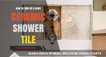 Fixing a Leaky Ceramic Shower Tile: Step-by-Step Repair Guide