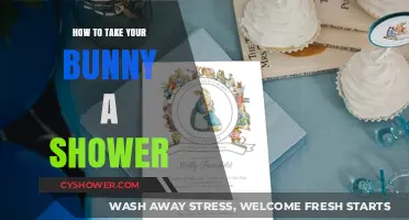 Gentle Bunny Bathing: A Step-by-Step Guide to Showering Your Rabbit