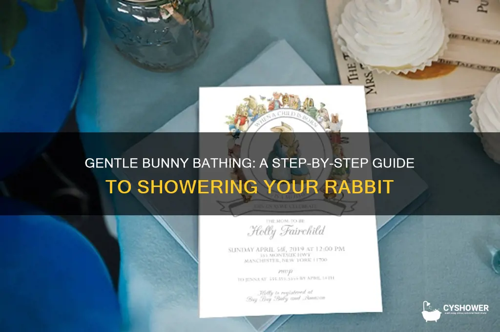 how to take your bunny a shower