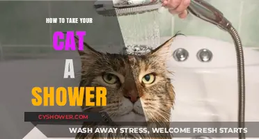 Purr-fectly Clean: A Step-by-Step Guide to Showering Your Cat