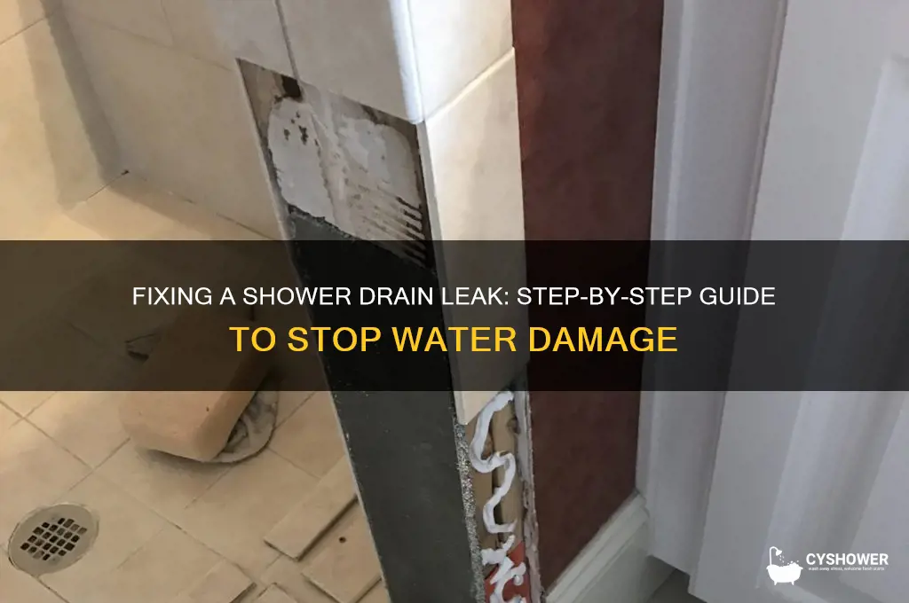 how to tedt shower drain leak