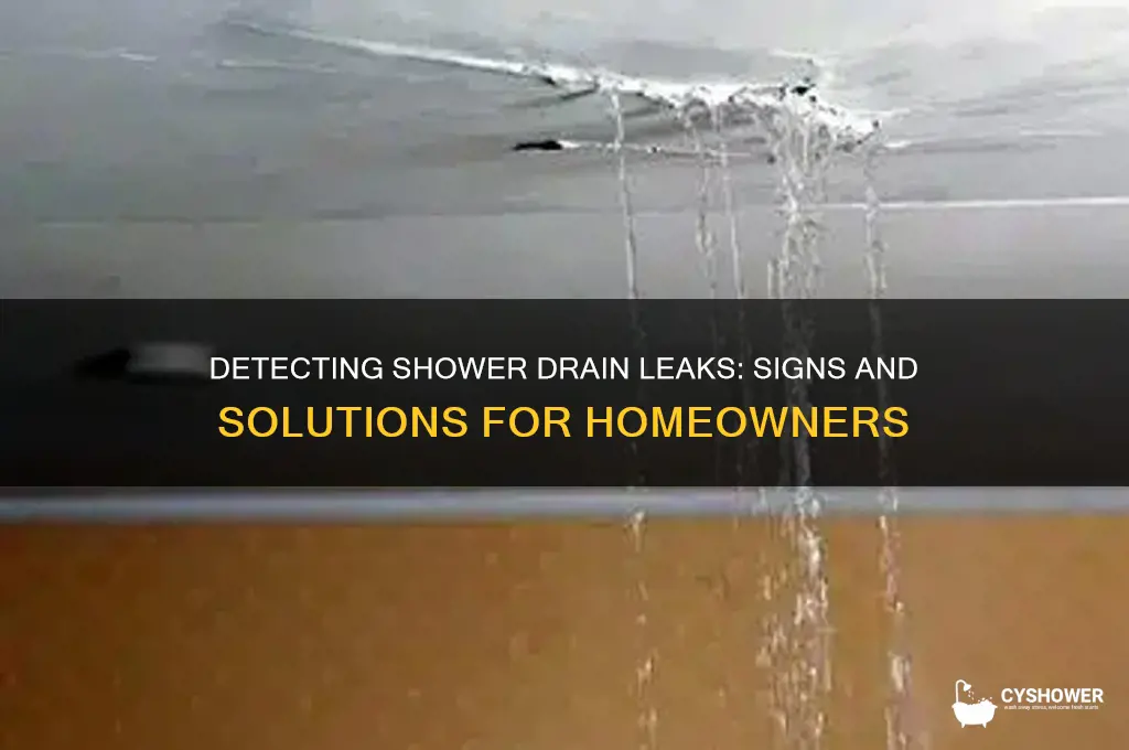 how to tell if a shower drain is leaking