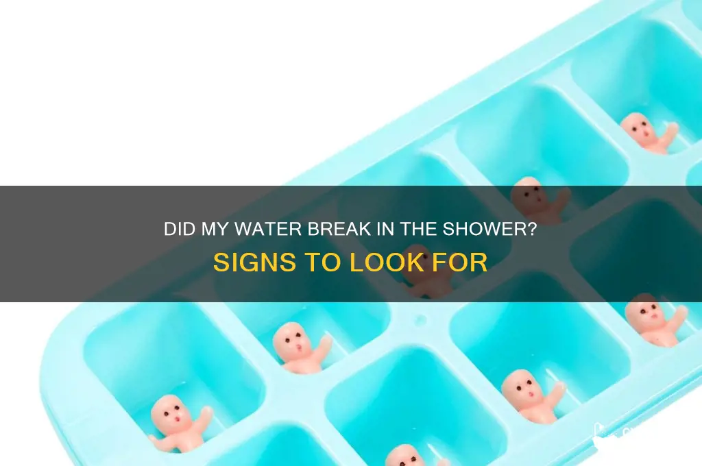 how to tell if my water broke in the shower