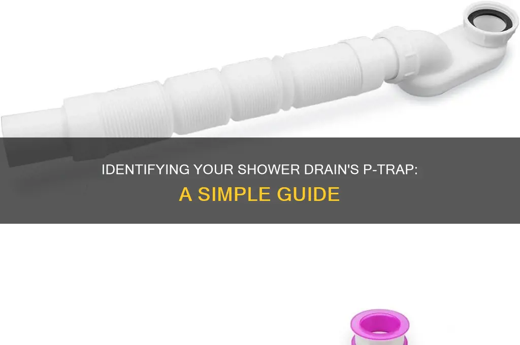 how to tell if shower drain have p trap