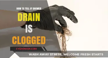 Signs Your Shower Drain is Clogged: Quick Detection Tips