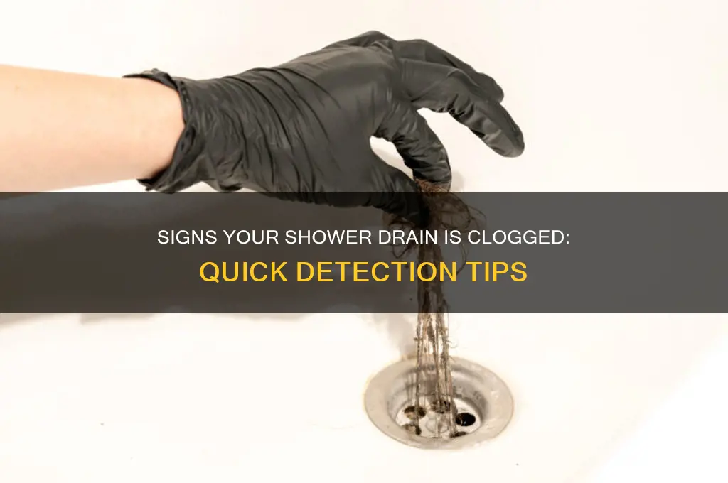 how to tell if shower drain is clogged