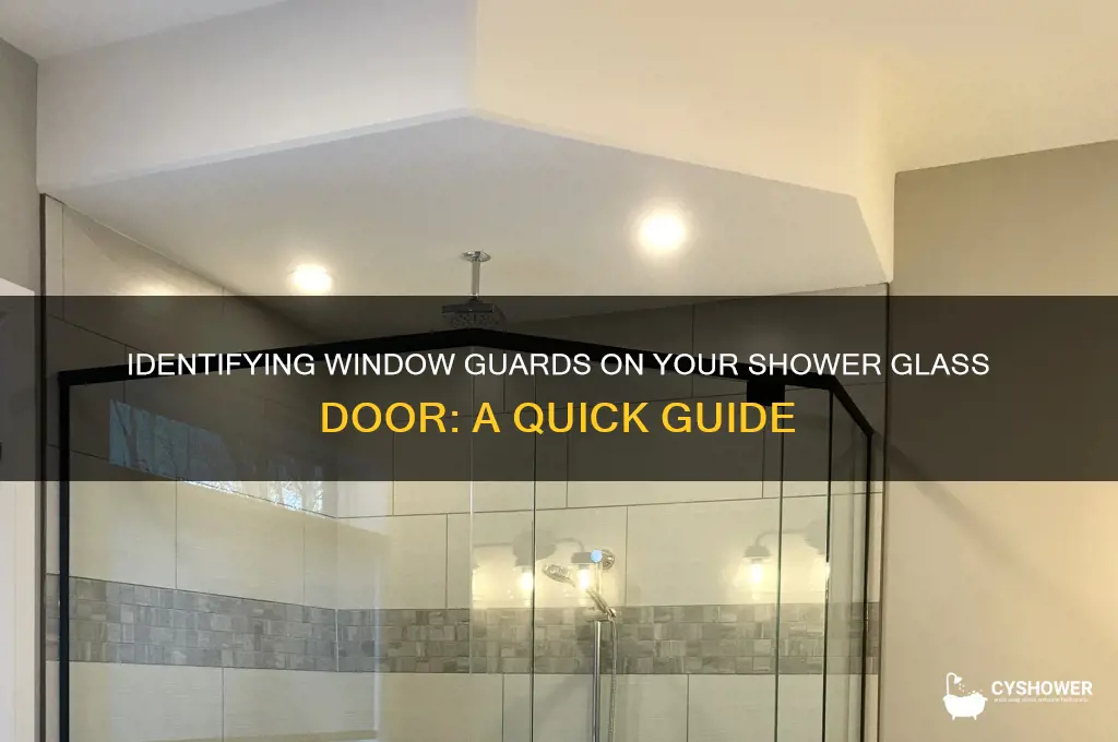 how to tell if shower gass door has window guards