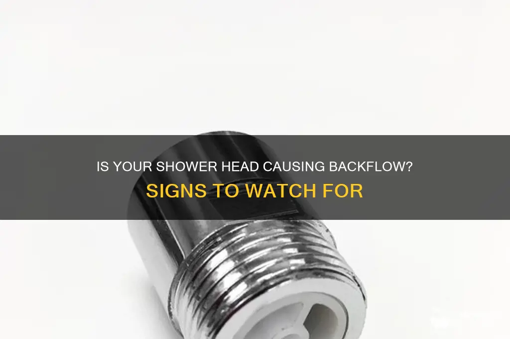 how to tell if shower head is causing the ackflow