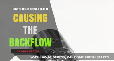 Is Your Shower Head Causing Backflow? Signs to Look For