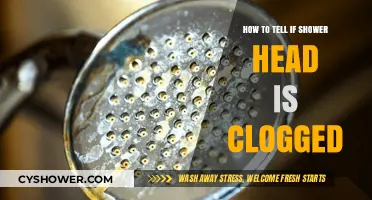 Is Your Shower Head Clogged? Signs and Quick Fixes to Check