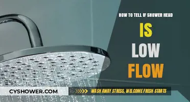 Is Your Shower Head Low Flow? Here's How to Tell