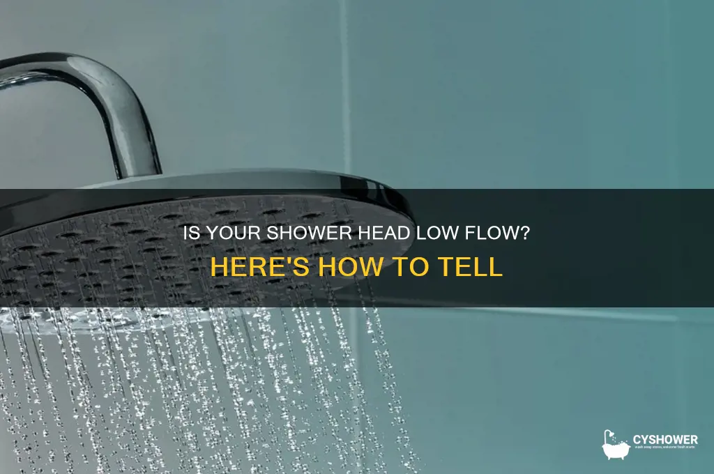 how to tell if shower head is low flow