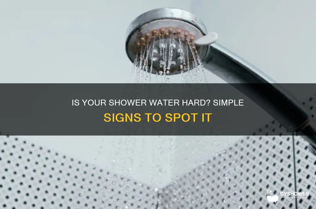 how to tell if shower water is hard