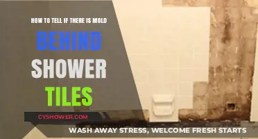 Detecting Hidden Mold: Signs Behind Your Shower Tiles