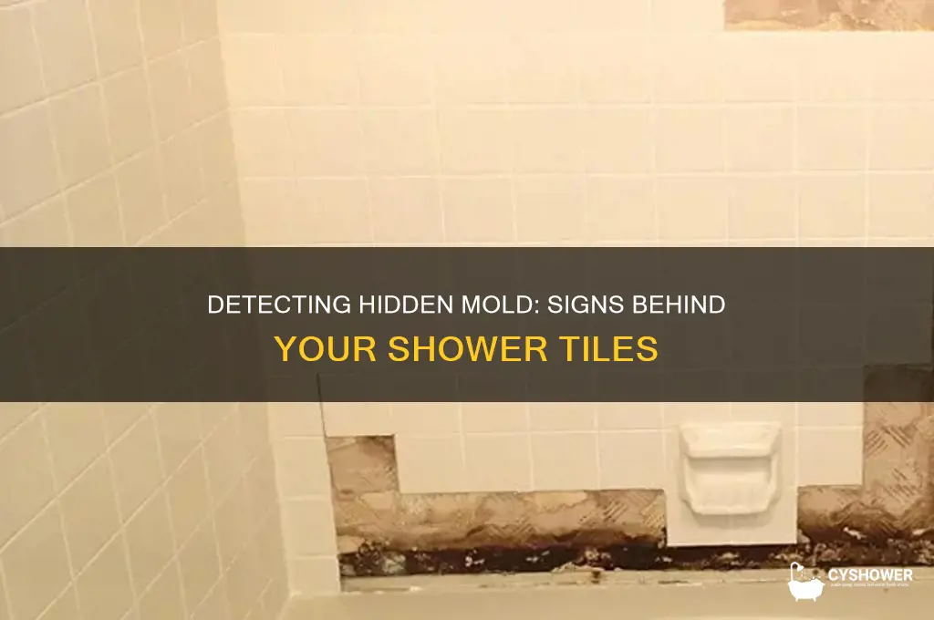 how to tell if there is mold behind shower tiles