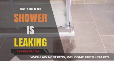 Spotting Shower Tile Leaks: Signs, Solutions, and Prevention Tips