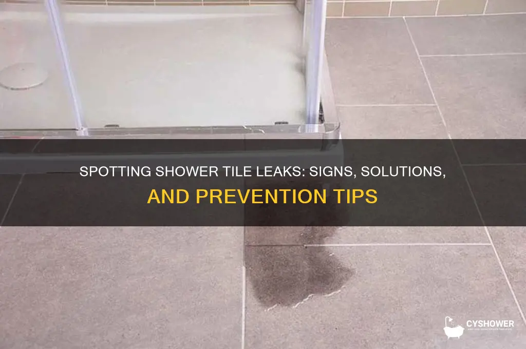 how to tell if tile shower is leaking